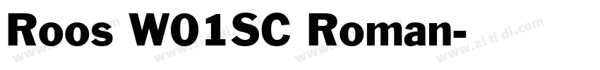 Roos W01SC Roman字体转换